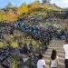 Niagara Falls State Park’s ‘Crow’s Nest’ Walkway Extension in N.Y : CEG Niagara Falls State Park’s ‘Crow’s Nest’ Walkway Extension in N.Y : CEG