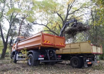 Which is Proper for Your Hauling Wishes? – Nation Blacksmith Trailers Weblog