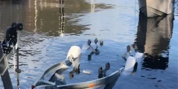 5 Tricks to Repairs Your Boat Trailer for a Lengthy Lifestyles