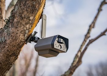Tactacam’s New Cellular-Based totally Protect Cameras for Faraway Websites