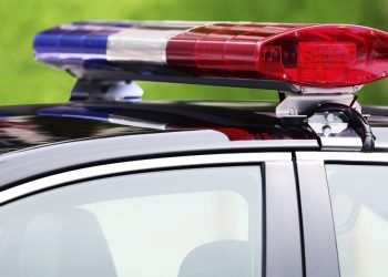 Two arrested for robbery of mini excavator in Freestone County, TX