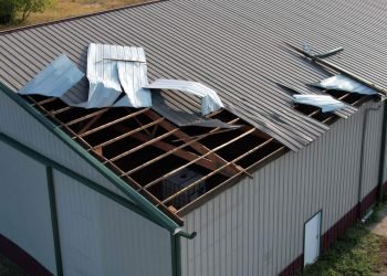 Most sensible 5 Crisis Recovery Services and products in Illinois