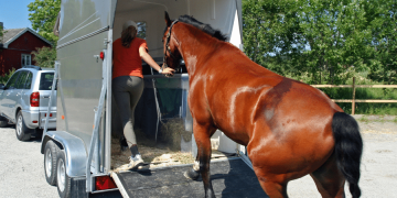 Guidelines For Safely Loading Your Horse on Trailer Rides