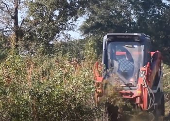 Not unusual Errors to Steer clear of When The usage of a Brush Cutter with Your Skid Steer