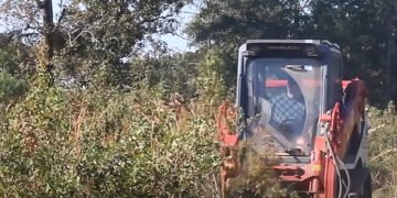 Not unusual Errors to Steer clear of When The usage of a Brush Cutter with Your Skid Steer
