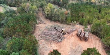 Western Parallel Connector Highway Undertaking Now Being Constructed Close to Atlanta : CEG