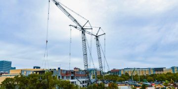 Hyperlink-Belt 348 Sequence 2 Lattice Cranes Care for 0M Blended-Use Construct : CEG