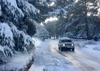 5 Pointers for Wintry weather Automotive Trailer Upkeep