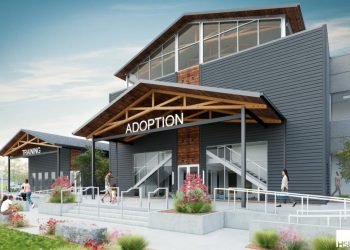 OKC Council Approves Plans for M Animal Safe haven : CEG