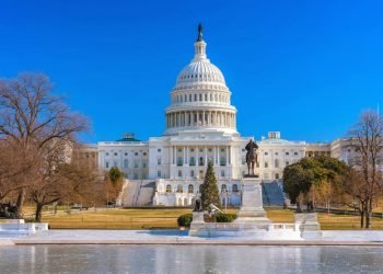 Elections 2024: What Will it Imply for the Trades?