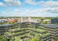 In footage: Revamp of Foggo’s ‘Striking Gardens of Basingstoke’ finished | Information In footage: Revamp of Foggo’s ‘Striking Gardens of Basingstoke’ finished | Information