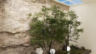 A Newbie’s Information to Synthetic Skylights