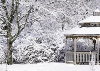 3 Techniques to Maximize the Building Gradual Season