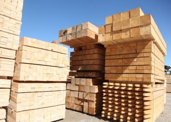 Building PMI slumps again to detrimental