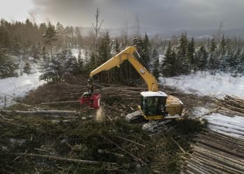 Cat intros multi-configurable FM528 GF/LL Forestry Excavator