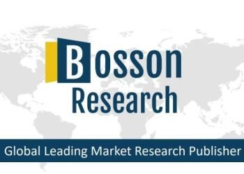 Marketplace Perception-World Development Control Services and products Marketplace Perception-World Development Control Services and products