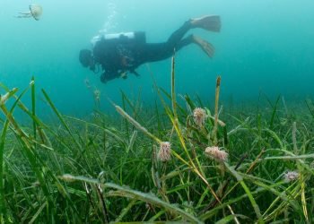Kier backs microplastic air pollution analysis