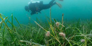 Kier backs microplastic air pollution analysis