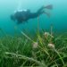 Kier backs microplastic air pollution analysis