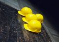 United Utilities appoints experts United Utilities appoints experts