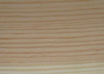 UK development sees extra pine as trees combine evolves