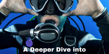 A Deeper Dive into Petroleum-Based totally Hydraulic Fluids