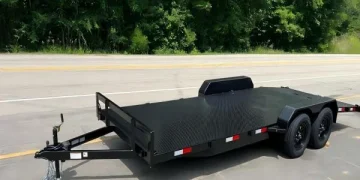 The entirety You Want to Know