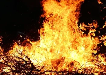The Affect of the California Wildfires at the California Building Marketplace