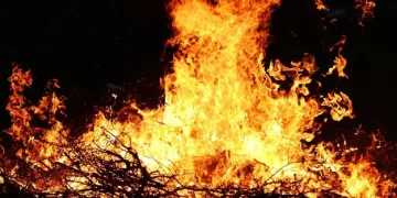 The Affect of the California Wildfires at the California Building Marketplace