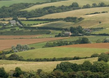 Forestall blaming nature, MPs inform executive Forestall blaming nature, MPs inform executive