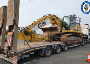 Lynch fined for bizarre load violation