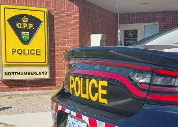 Arrests in two separate investigations in Northumberland