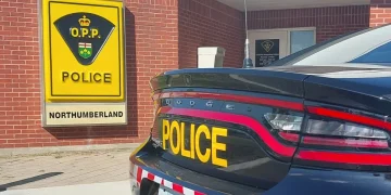 Arrests in two separate investigations in Northumberland