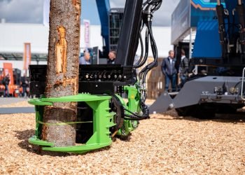 Essential Forests, Good Forestry: Shaping the Local weather-Resilient Wooden Financial system of Day after today