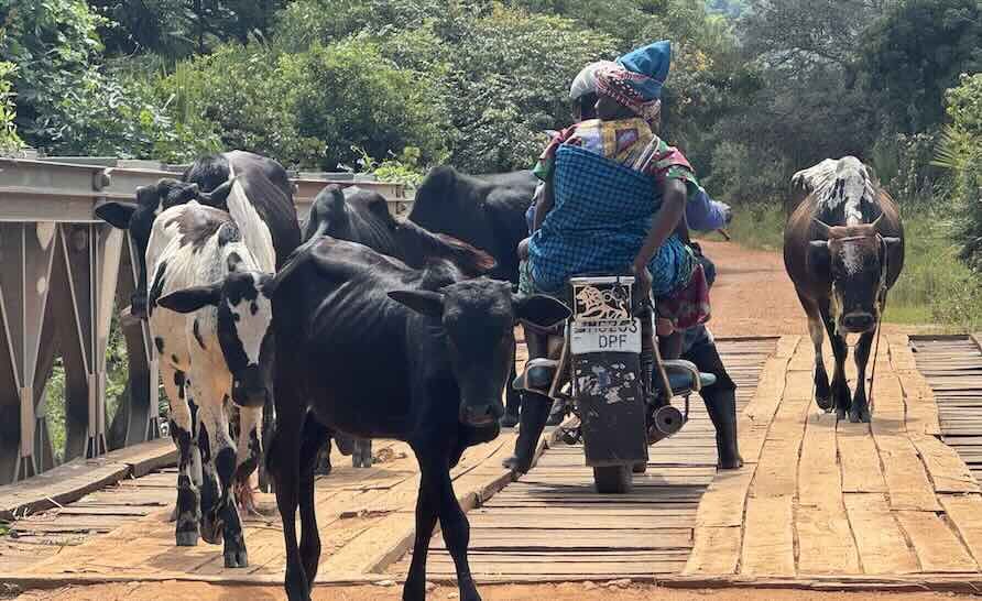 Engineer ECS, Engineers With out Borders Repair Impassible Highway in Africa Engineer ECS, Engineers With out Borders Repair Impassible Highway in Africa