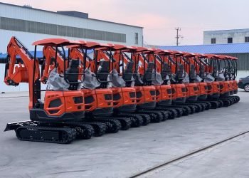 What Must I Know Concerning the Apartment Trade of Mini Excavators?