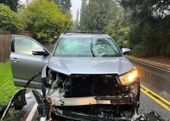 Excavator phase hits automobile with mom & daughter within – KIRO 7 Information Seattle