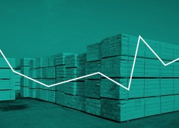 Bushes imports upward thrust for first time in 4 years