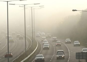 Executive brings in specialists for greener roads