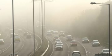 Executive brings in specialists for greener roads