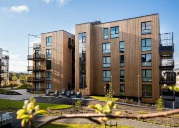 Thermally Changed Wooden: A Prime-Efficiency Bushes for Fashionable Building