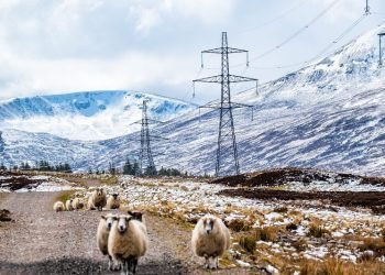 Ofgem offers preliminary approval to £24bn grid funding