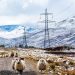 Ofgem offers preliminary approval to £24bn grid funding Ofgem offers preliminary approval to £24bn grid funding