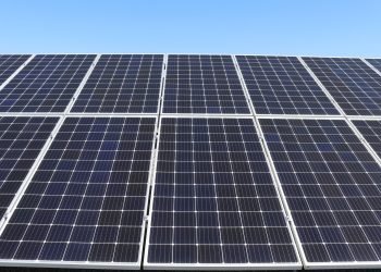 Sun enlargement jeopardising UK meals manufacturing