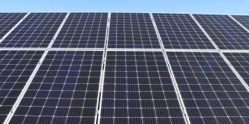 Sun enlargement jeopardising UK meals manufacturing