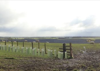 Miliband approves Byers Gill Sun Farm