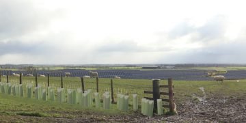 Miliband approves Byers Gill Sun Farm