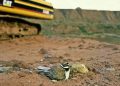 Fears for quarries from landfill tax hike Fears for quarries from landfill tax hike