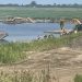 Employee dies when excavator falls into water Employee dies when excavator falls into water