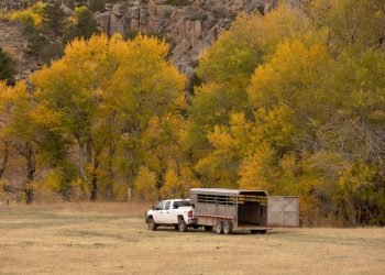 Simple Trailer Upkeep Pointers – Nation Blacksmith Trailers Weblog Simple Trailer Upkeep Pointers – Nation Blacksmith Trailers Weblog